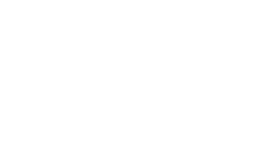 Premium Sound & Security logo